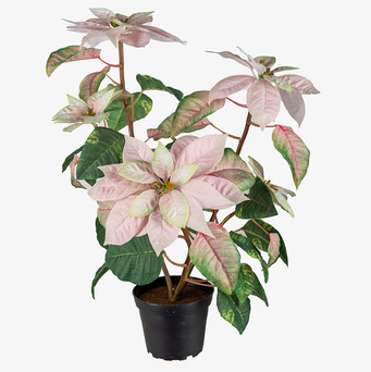 Foto av konstgjord dekorationsväxt i elegant design