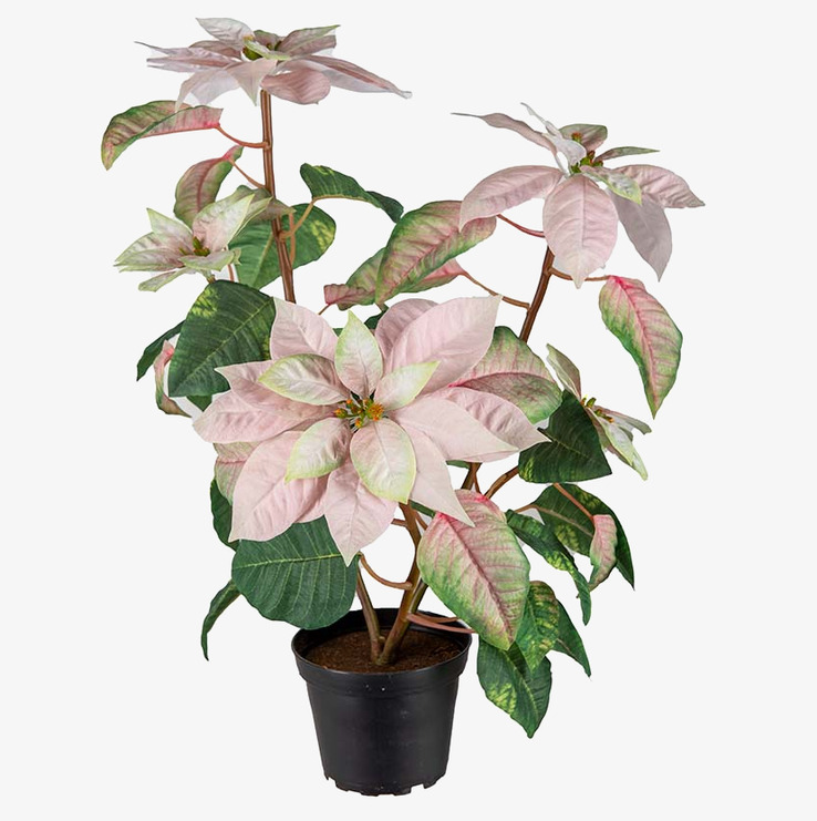 Höststjärna 45cm från Mr Plant, konstgjord växt i höstfärger