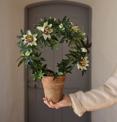 Bild av konstgjord vit passiflora i terrakottakruka