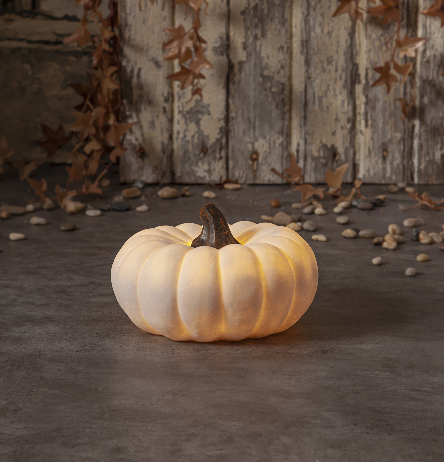 Dekoration Pumpa Sandy 20,5cm från Star Trading på betonggolv