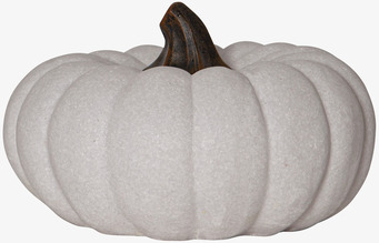 Bild på dekorativ pumpa med stilren och naturlig design