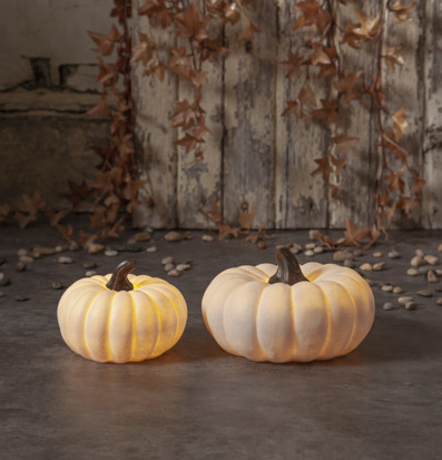 Bild av stämningsfull rustik höstdekoration hemma