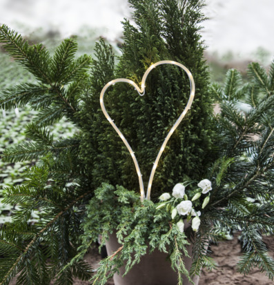 Bild av hjärtformad LED-lampa i grön omgivning