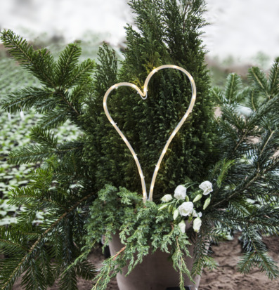 Bild av hjärtformat LED-ljus i grönskande miljö