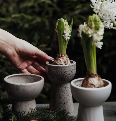 Bild av vackra vaser med harmonisk och jordnära känsla