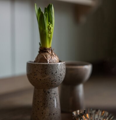 Bild av stilren vas och grönska i harmonisk miljö