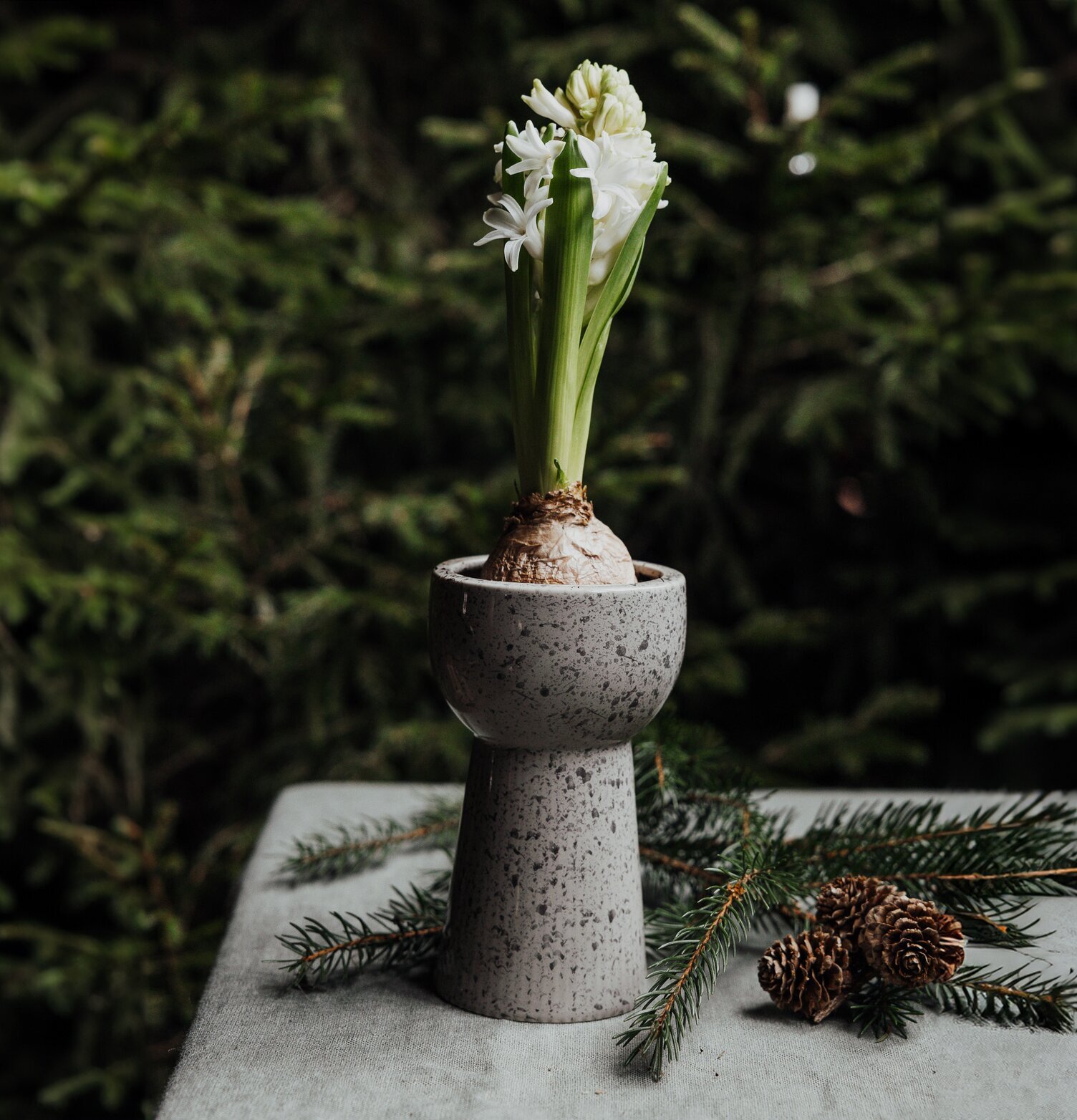 Lökvas Leryd Hög från Storefactory på grått bord med hyacint