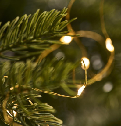 Bild av grankvist med stämningsfull LED-ljusslinga