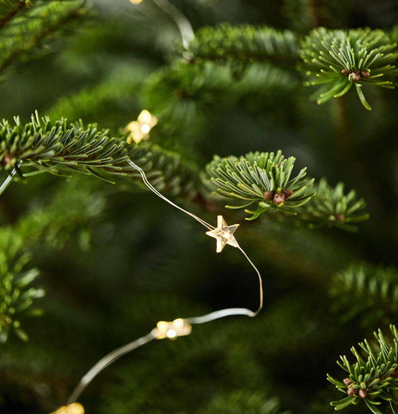 Ljusslinga Stjärnor från IB Laursen i en grön gran