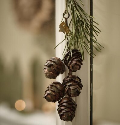 Bild av vacker dekoration med naturliga element