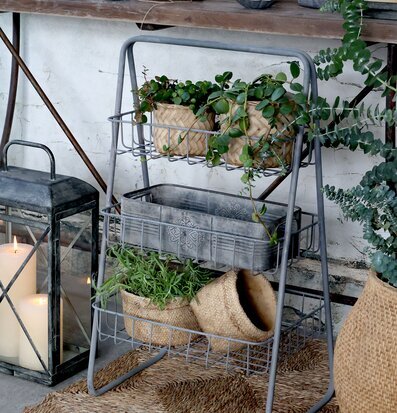 Foto av stilfull heminredning med etagere och växter