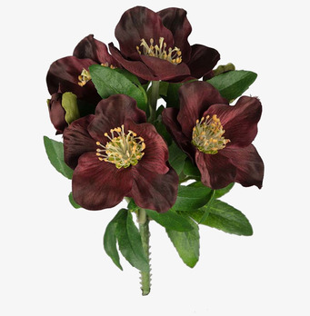 Bild av frodig julrosbukett med djup röd färgton