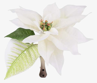 Bild av vit julstjärna med clips för dekoration