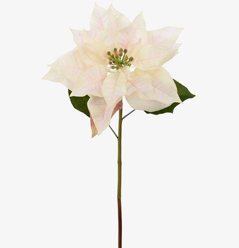 Bild av offwhite konstgjord julstjärna med detaljer