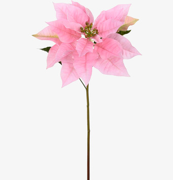 Bild av konstgjord julstjärna i ljusrosa nyanser