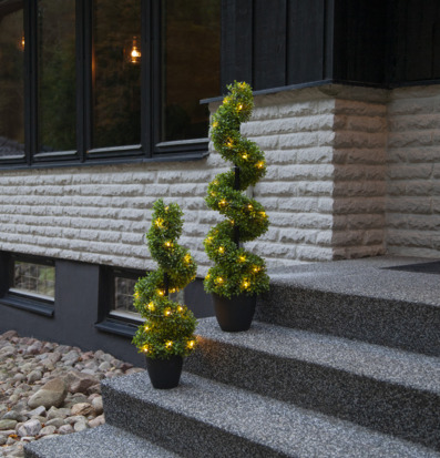 Bild av spiralformade buxbomträd vid entré med ljus