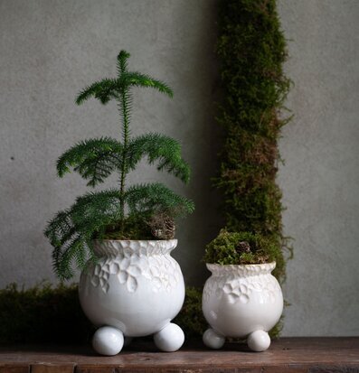 Bild av harmonisk kruka med naturinspirerad design