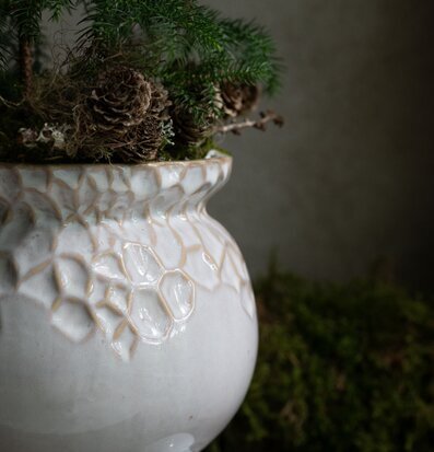 Bild av skulptural kruka med grön växt och mossa