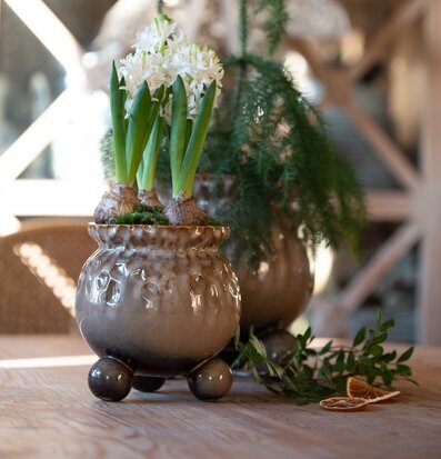 Foto: Elegant kruka med växter för stilfull inredning