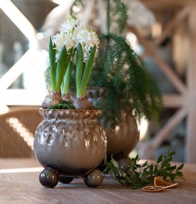 Bild av rustik kruka med växter i harmonisk inredning