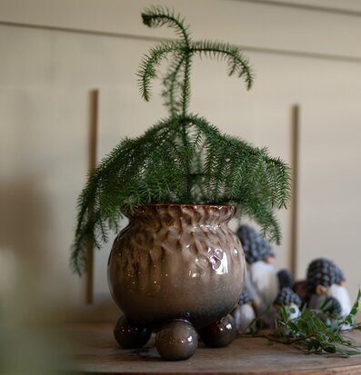 Bild av elegant kruka med frodig växt och rustik miljö