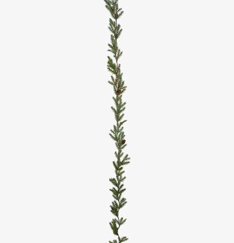 Foto av naturtrogen grangirlang med kottar och barr