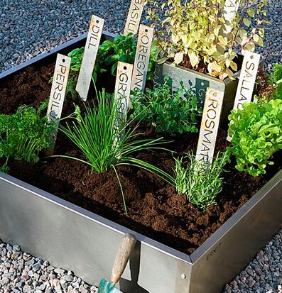 Foto av odlingslåda med kryddor och örter i trädgård