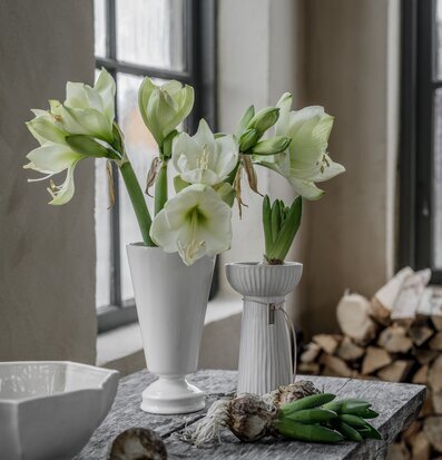 Bild av harmonisk interiör med naturligt ljus och design