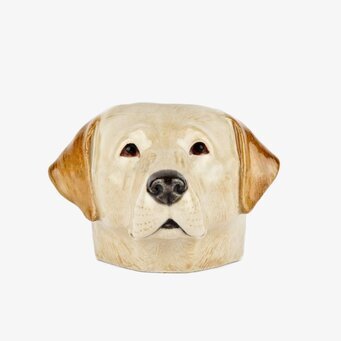 Bild av detaljrik äggkopp föreställande labradorhuvud