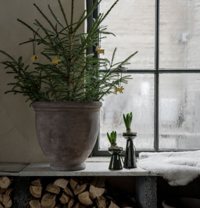 Bild av harmoniskt rum med gran och stilrena detaljer