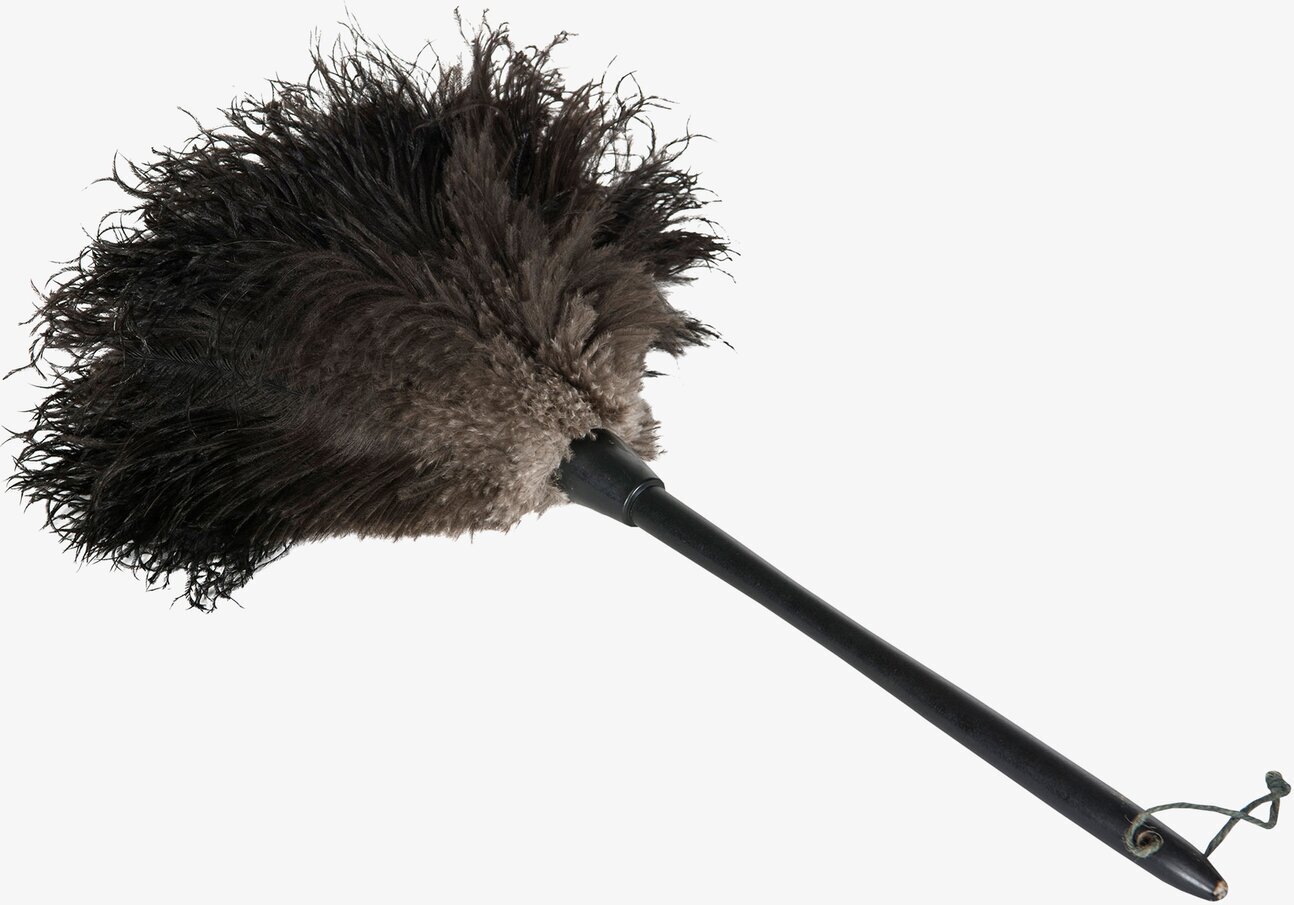 Bild av elegant dammvippa med svarta strutsfjädrar