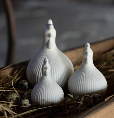 Bild av vita prydnadshönor i lantlig miljö med vaktelägg