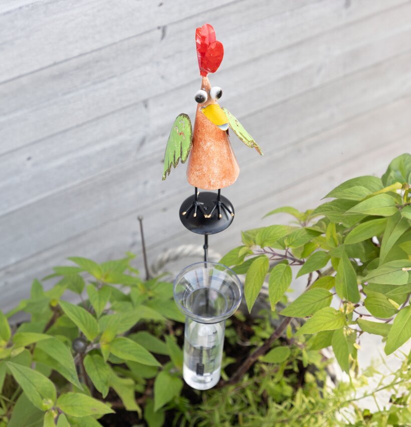 Foto av charmig fågel-regnmätare i hamrad plåt