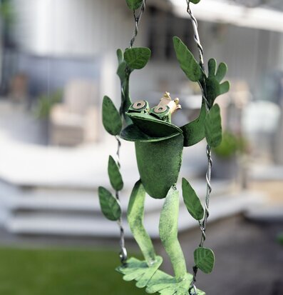 Bild av humoristisk gungande groda i trädgårdsdesign