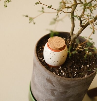 Bild av minimalistisk kruka med naturlig inredning