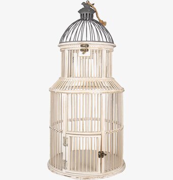 Bild av antik vit fågelbur med rustik och tidlös design