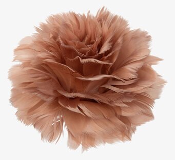 Bild av dekorativ fjäderblomma med stilren design