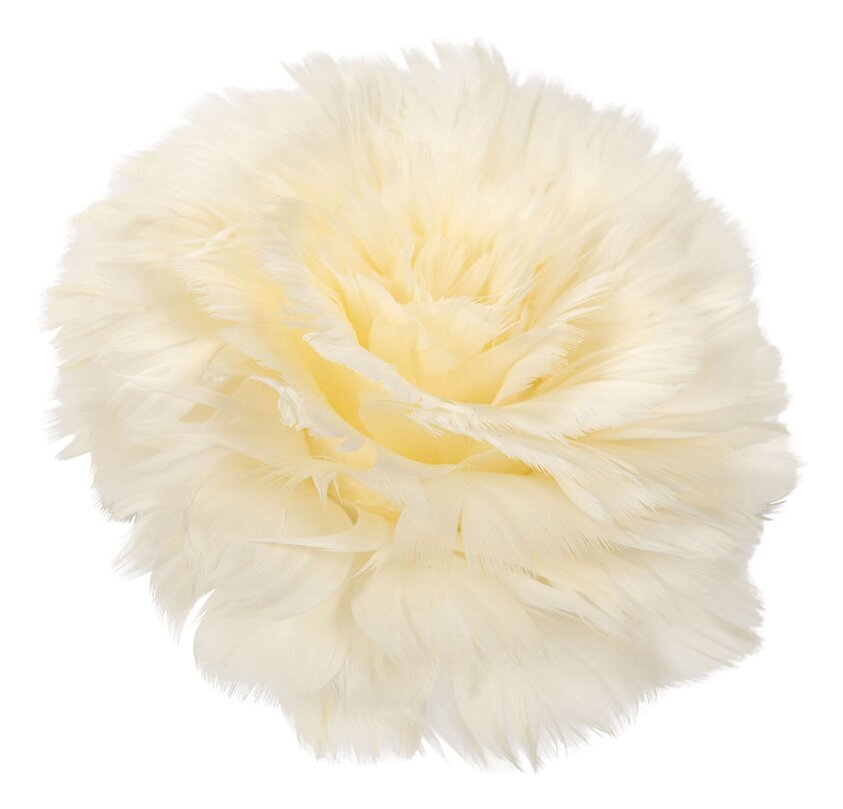 Fjäderblomma Med Clip Vanilj Set/4 A Lot Decoration Övrig prydnad/dekoration för inredning innemiljö