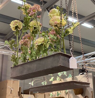 Foto av hängande metallhylla med blommor och växter