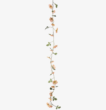 Bild av konstgjord Japansk Klätterros Girlang Aprikos