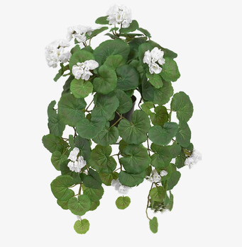 Bild av konstgjord hängpelargon med vita blommor