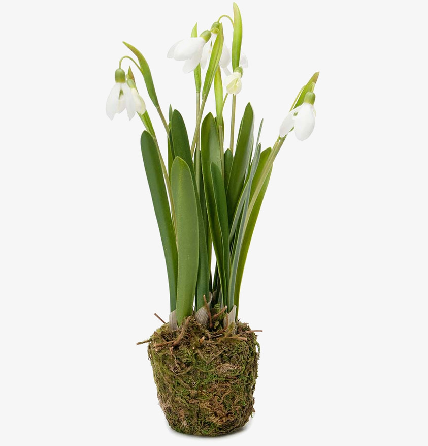 Snödroppe Mr Plant Konstväxter Konstblommor Plastväxter Plastblommor