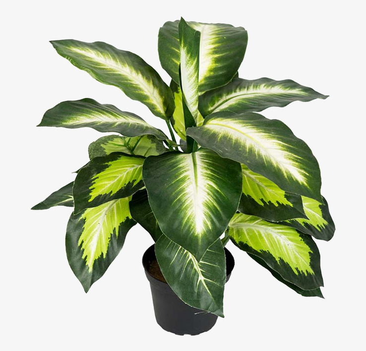 Prickblad Mr Plant Konstväxter Konstblommor Plastväxter Plastblommor