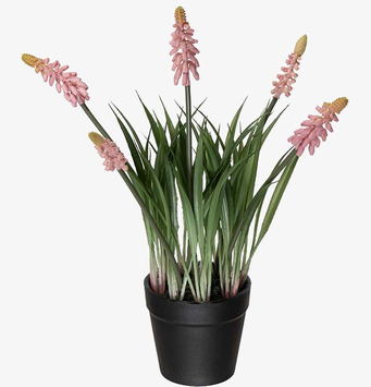 Foto av naturtrogen konstväxt med rosa pärlhyacint