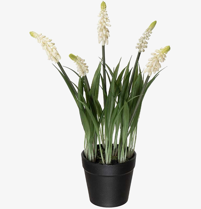Pärlhyacint Vit 28cm Mr Plant Konstväxter Konstblommor Plastväxter Plastblommor