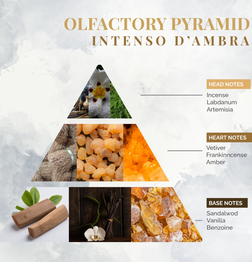 Bild av doftpyramid med topp-, hjärt- och basnoter