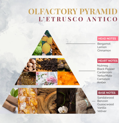 Bild av doftpyramid med topp-, hjärt- och basnoter