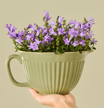 Bild av grön vispskål med lila blommor i harmonisk scen