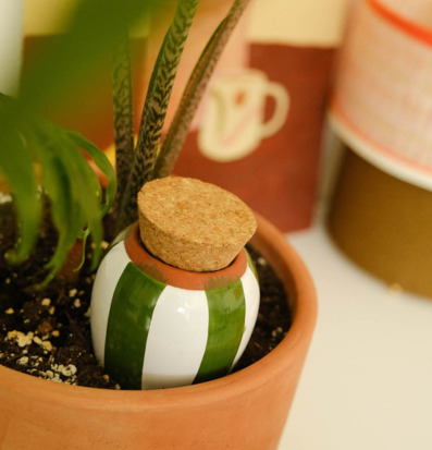 Bild av elegant bevattningssystem i harmonisk kruka