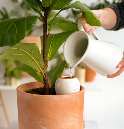 Bild av kanna och bevattningsanordning i terrakottakruka